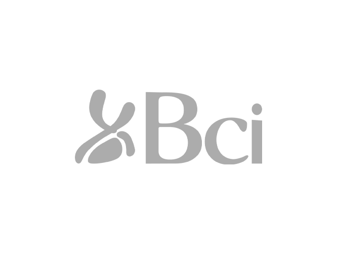 logo-bci